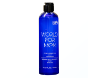 Гель Шампунь 2 в 1 Освежающий  WORLD FOR MEN, 400 мл, купить в Луганске, ЛНР, опт, заказ